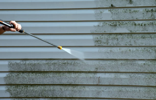 Best Driveway Pressure Washing  in Lake Secession, SC